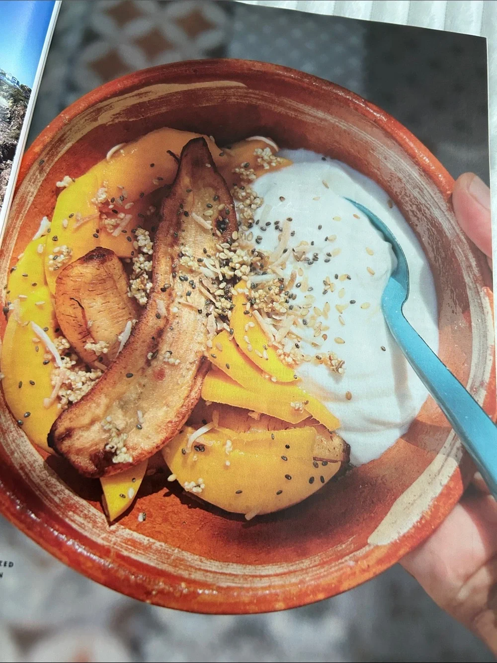 September 2020 Bon Apetit Magazine Featured Golden Fried Rice Salmon Vol 65 No 7